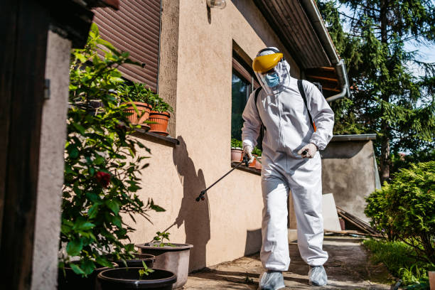 Best Rodent Control Near Me  in Marion, WI