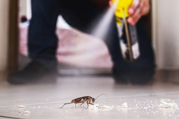 Best Pest Removal Services  in Marion, WI